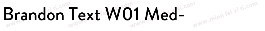 Brandon Text W01 Med字体转换